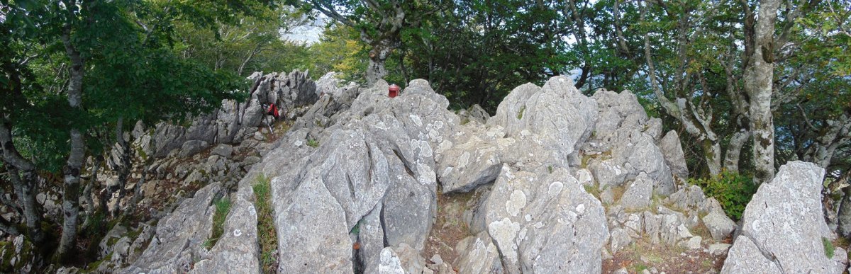 Tontorra