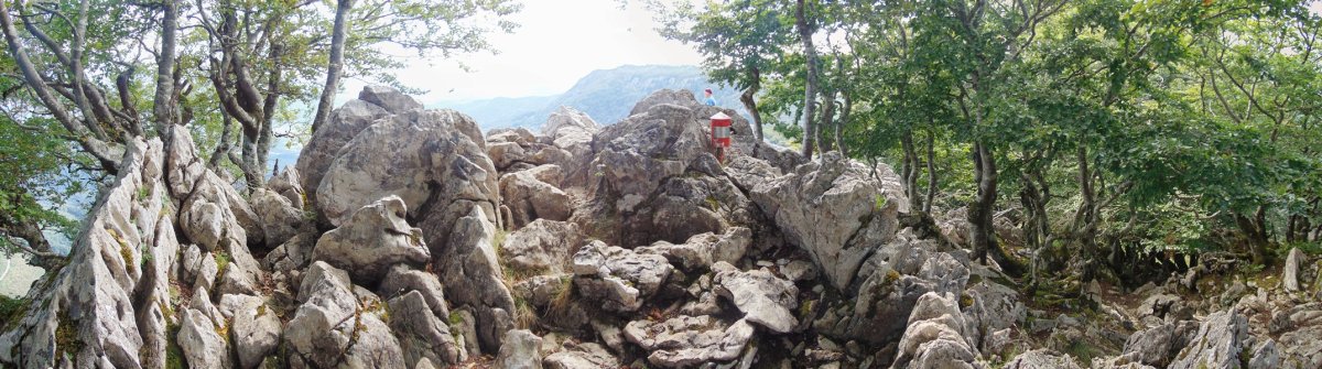 Tontorra