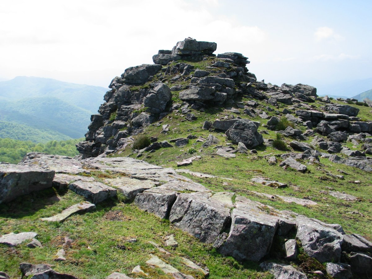 Tontorra