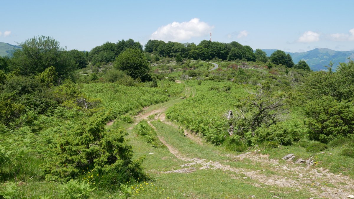 Gorako bidea