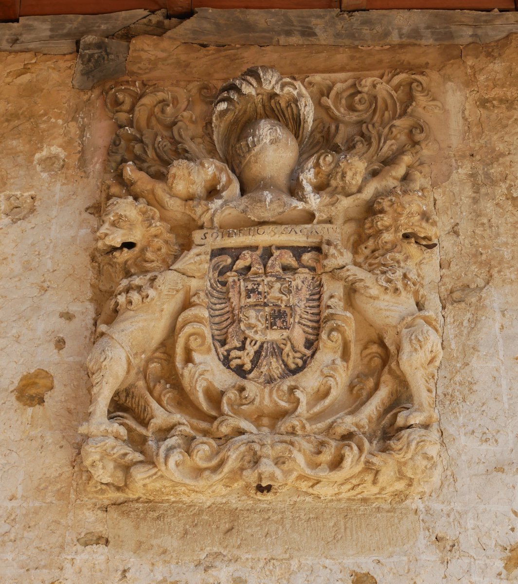 Armarria, Bujanda