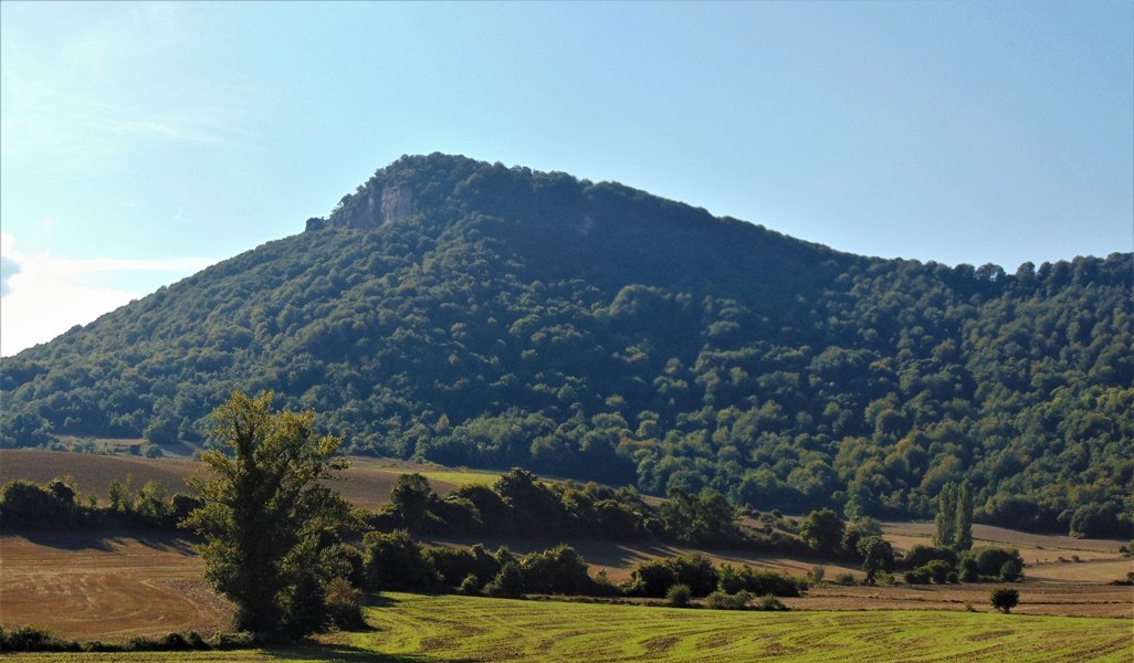 Murube