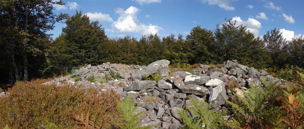 Tontorra