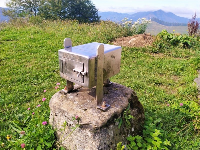 Buzoia