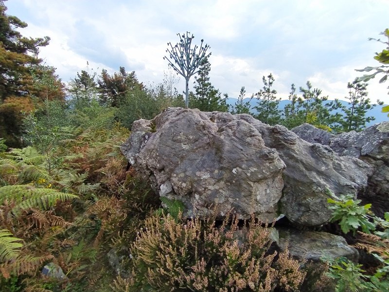 Tontorra