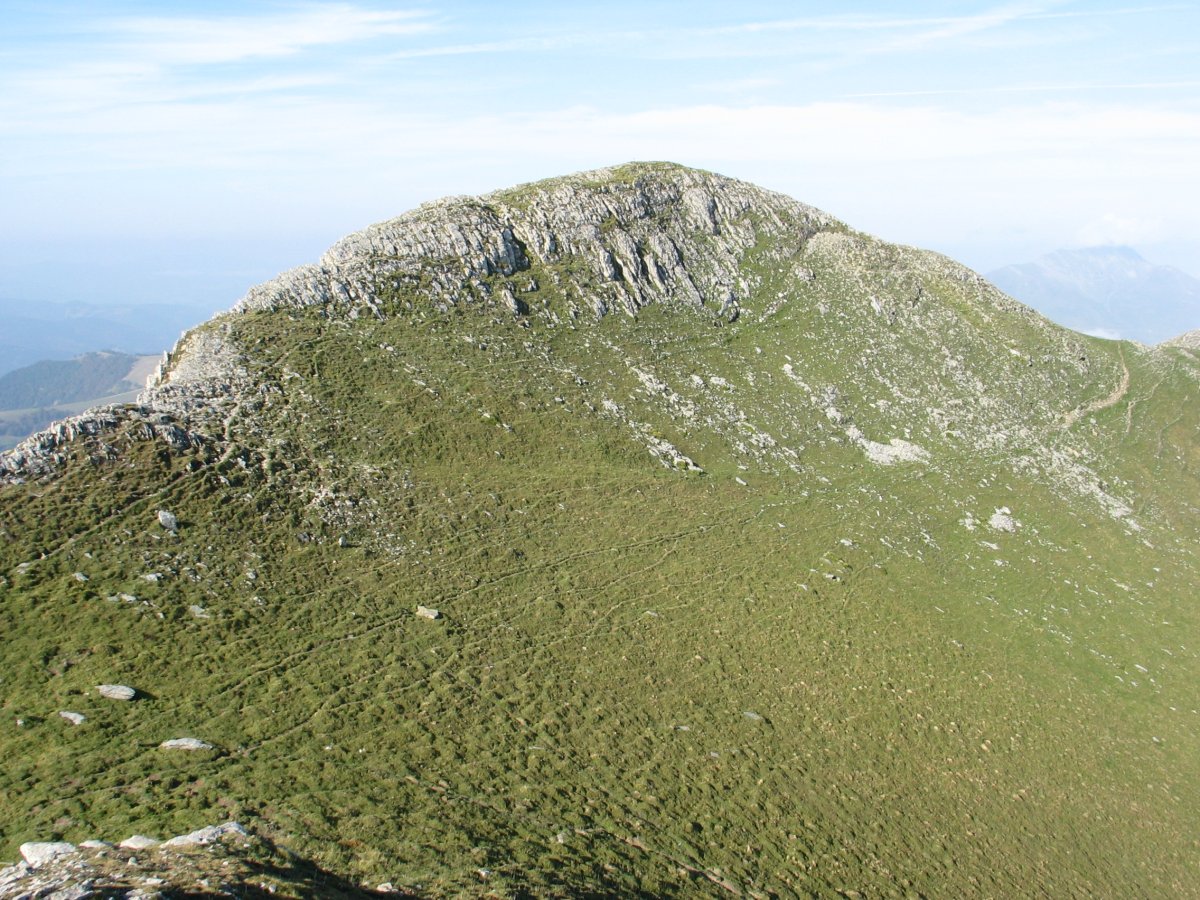 Tontorra