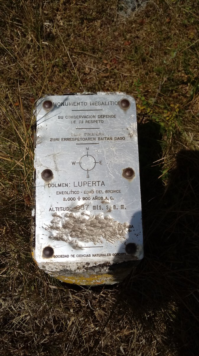 Luperta trikuharria