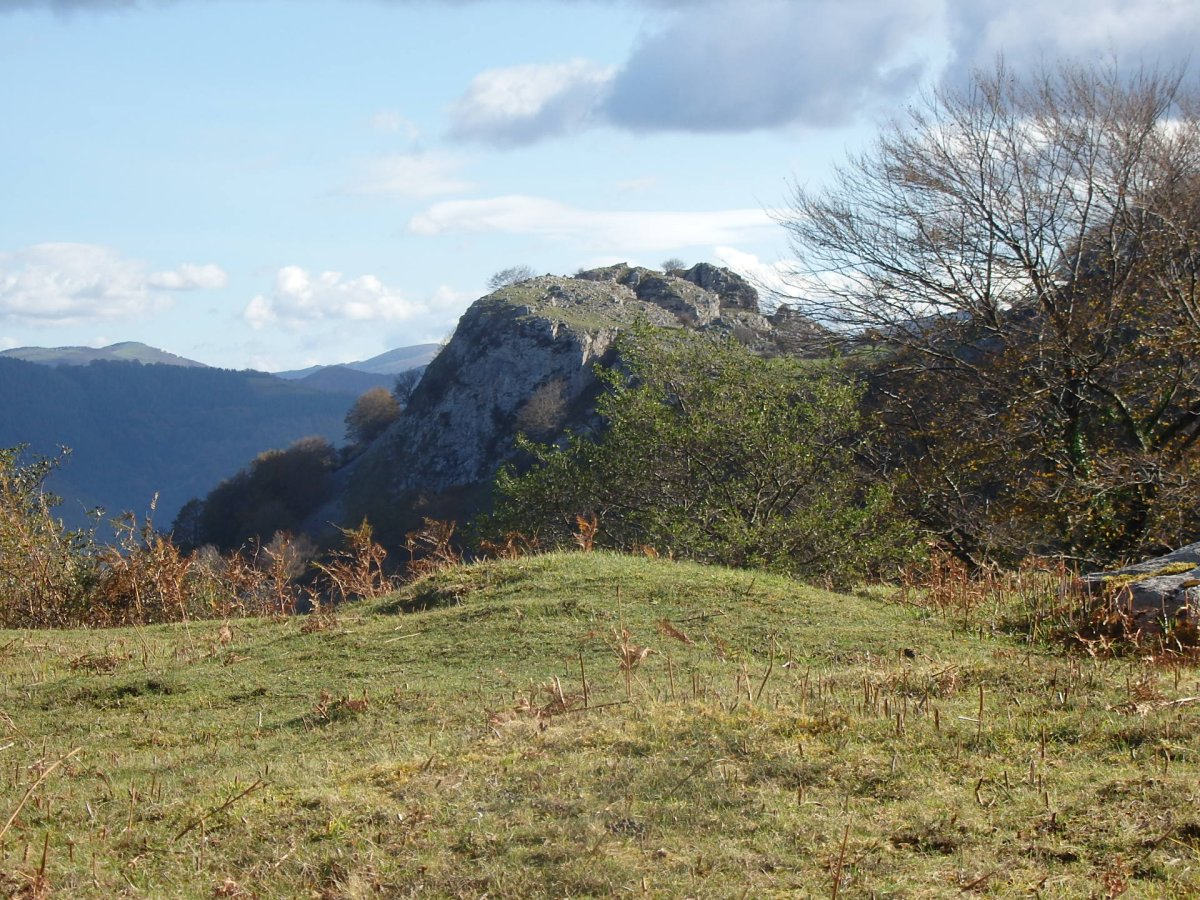 ZABALKI