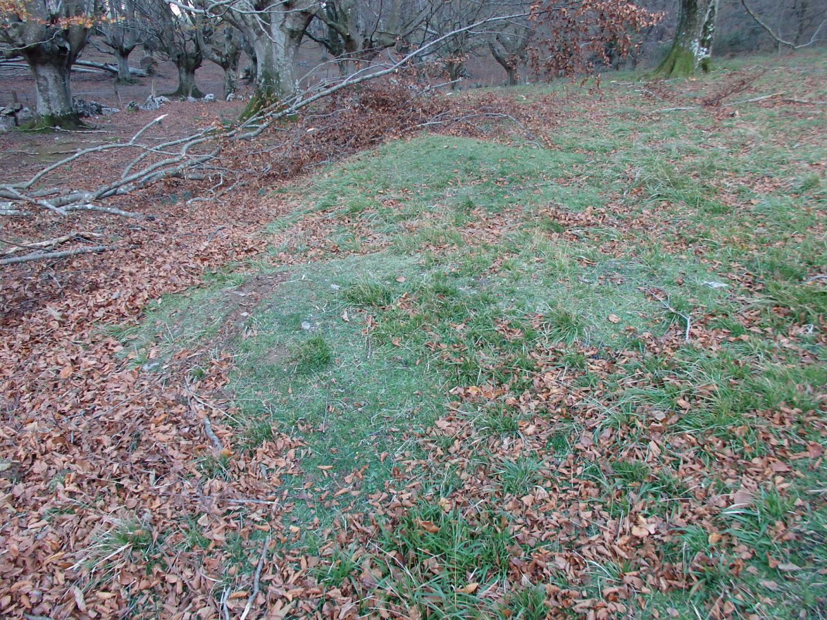 ZABALKI II