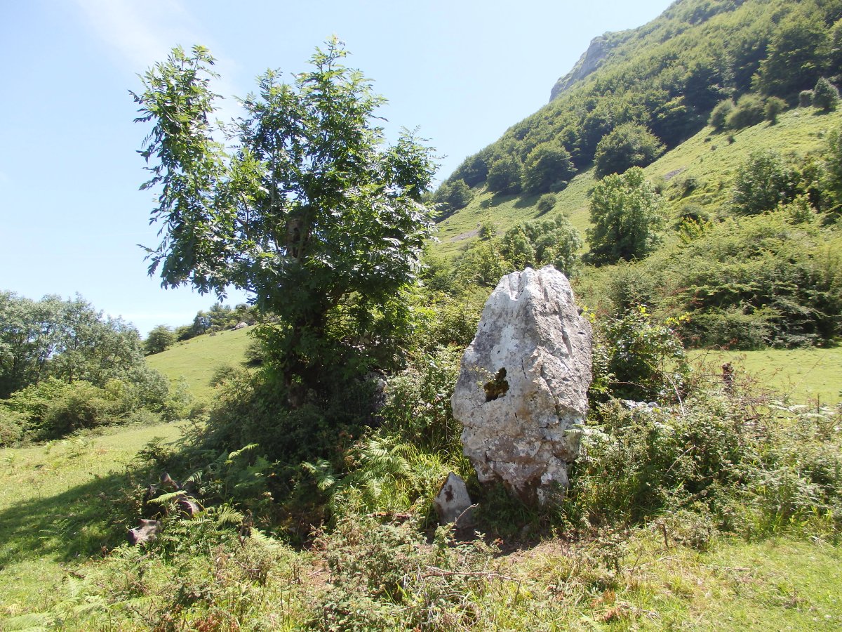 PLAZEGI III