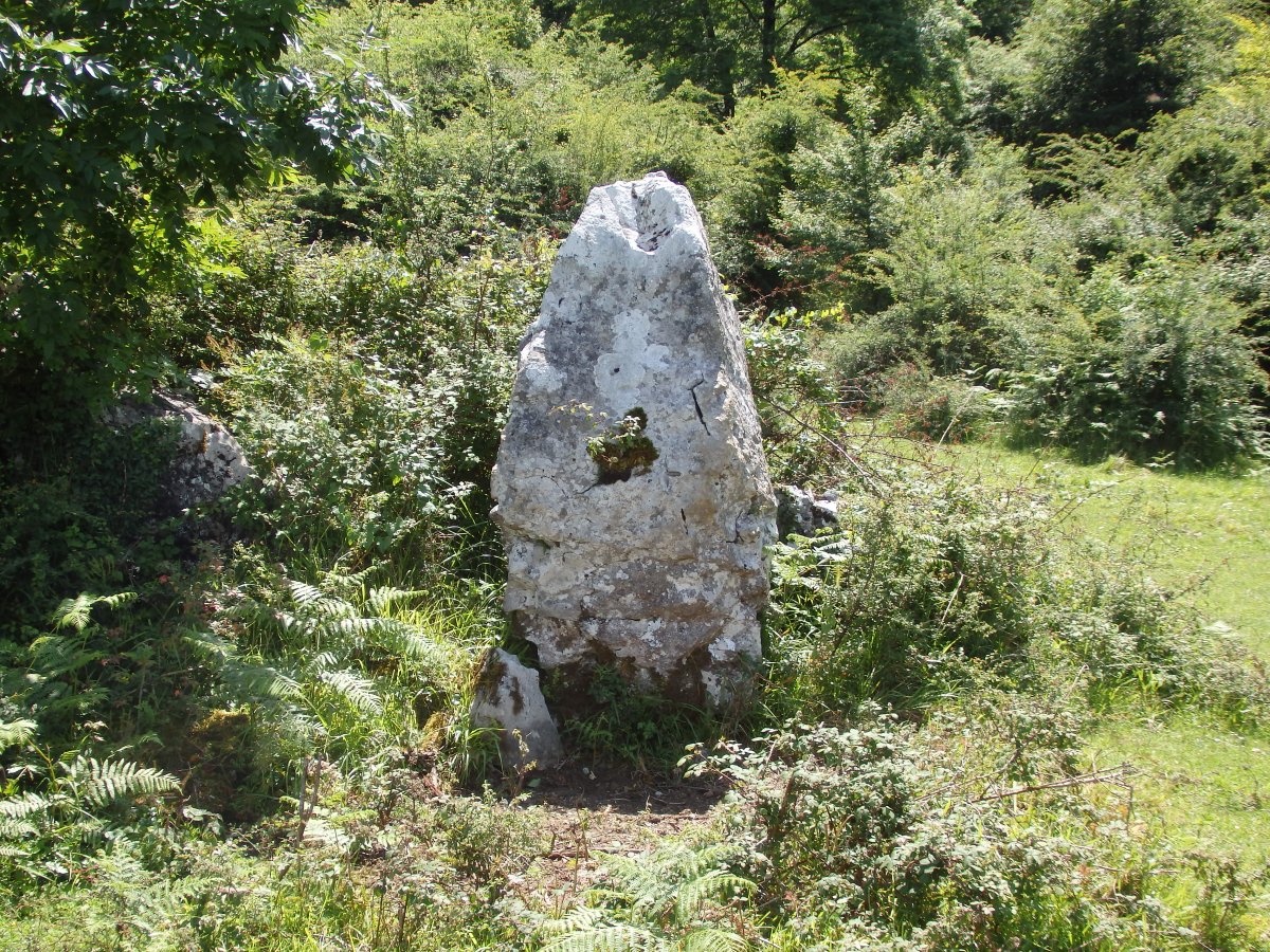 PLAZEGI III