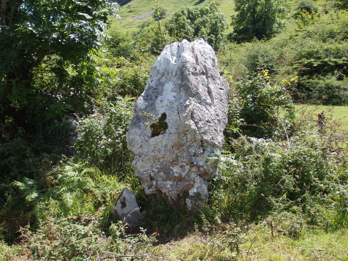 PLAZEGI III