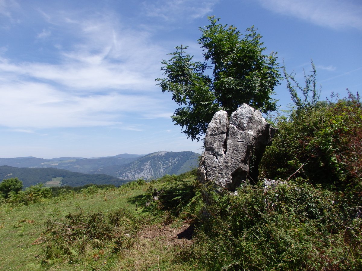 PLAZEGI III