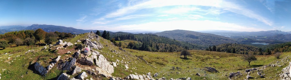 Tontorra