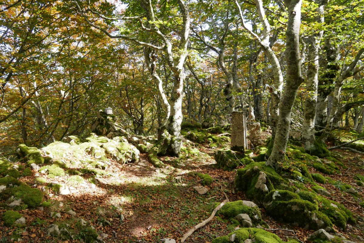 Tontorra