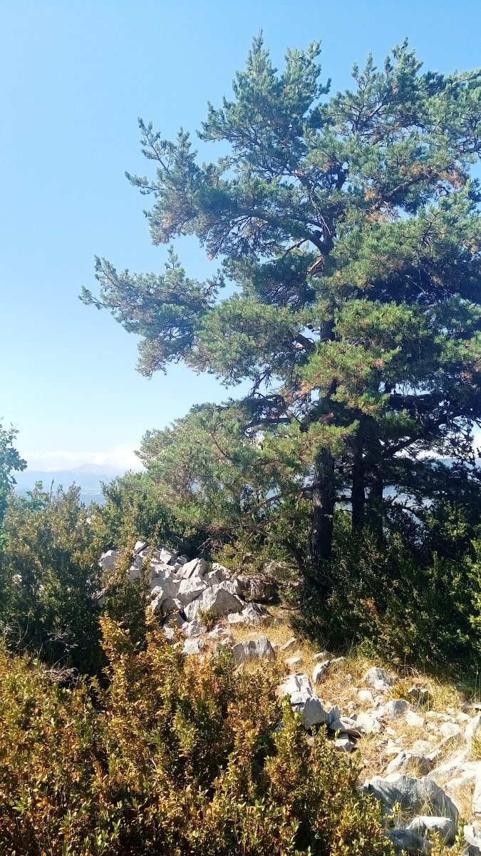 Ezkaiturrea (1498m) tontorra