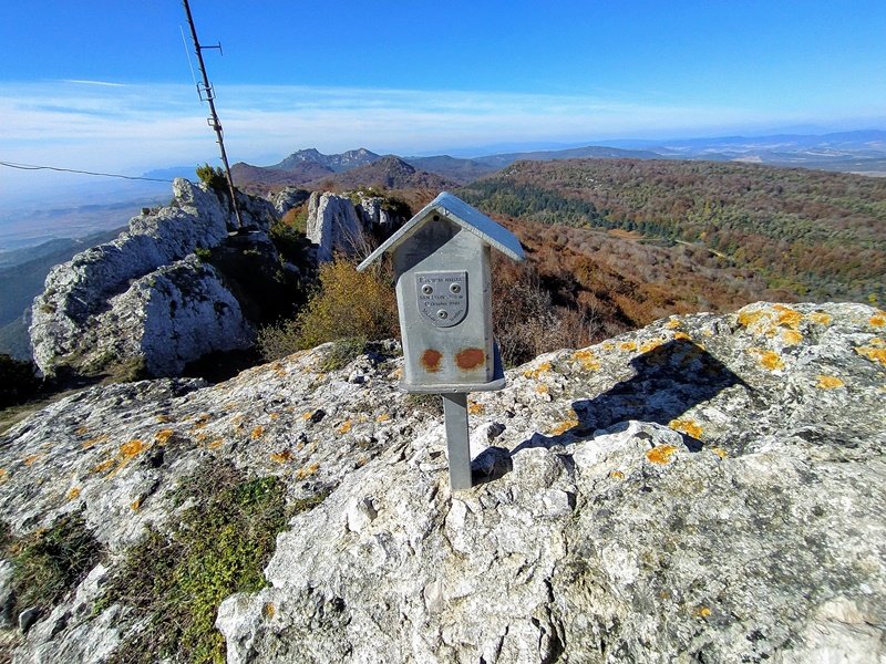 Buzoia