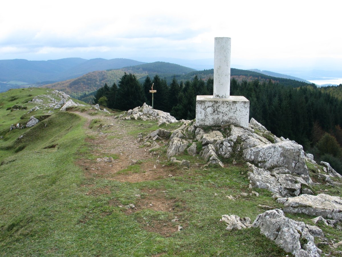 Tontorra