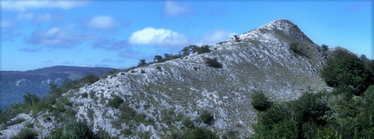Olano
