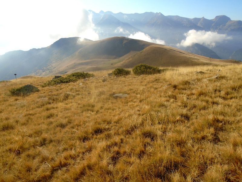 la estiva oeste 1