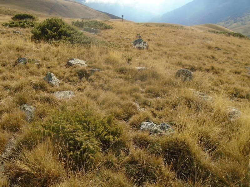 la estiva oeste 2