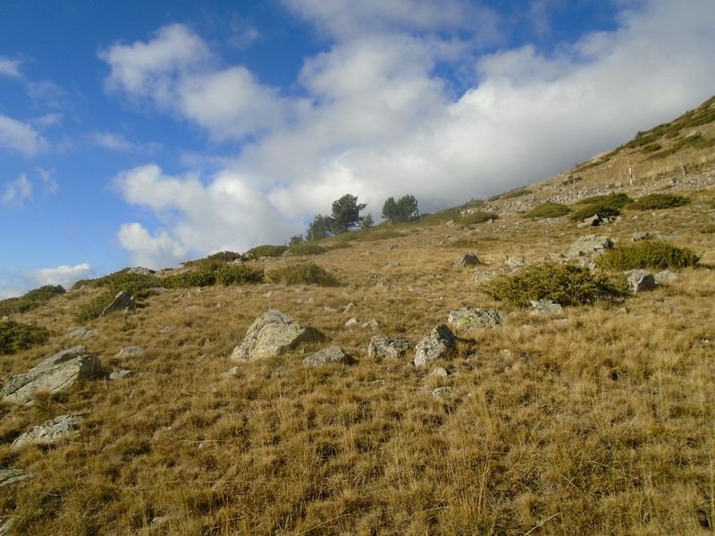 la estiva oeste 3