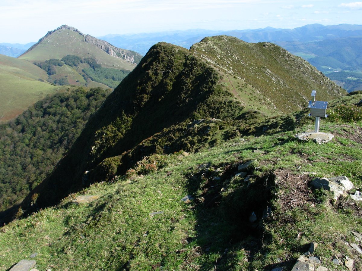 Tontorra