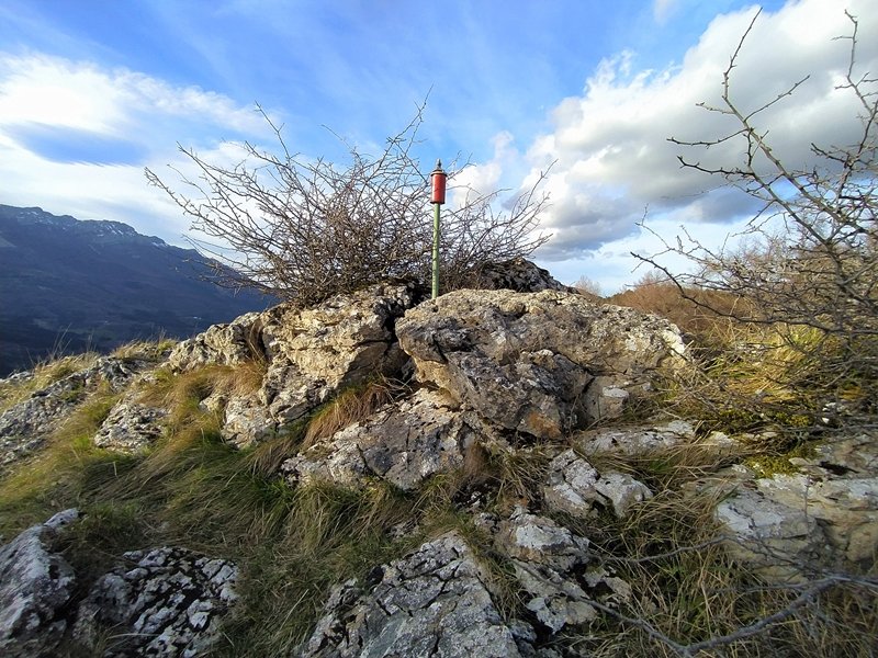 Tontorra