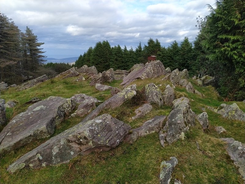 Tontorra