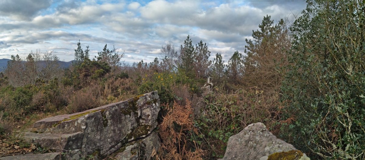 Tontorra
