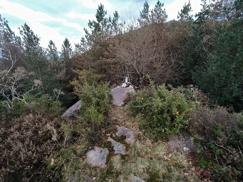 Tontorra