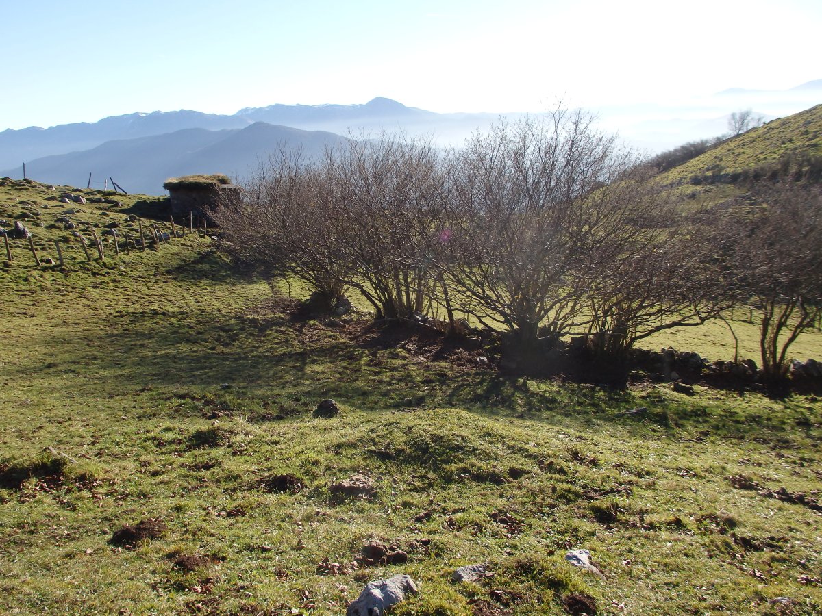 Túmulo Kardaño II