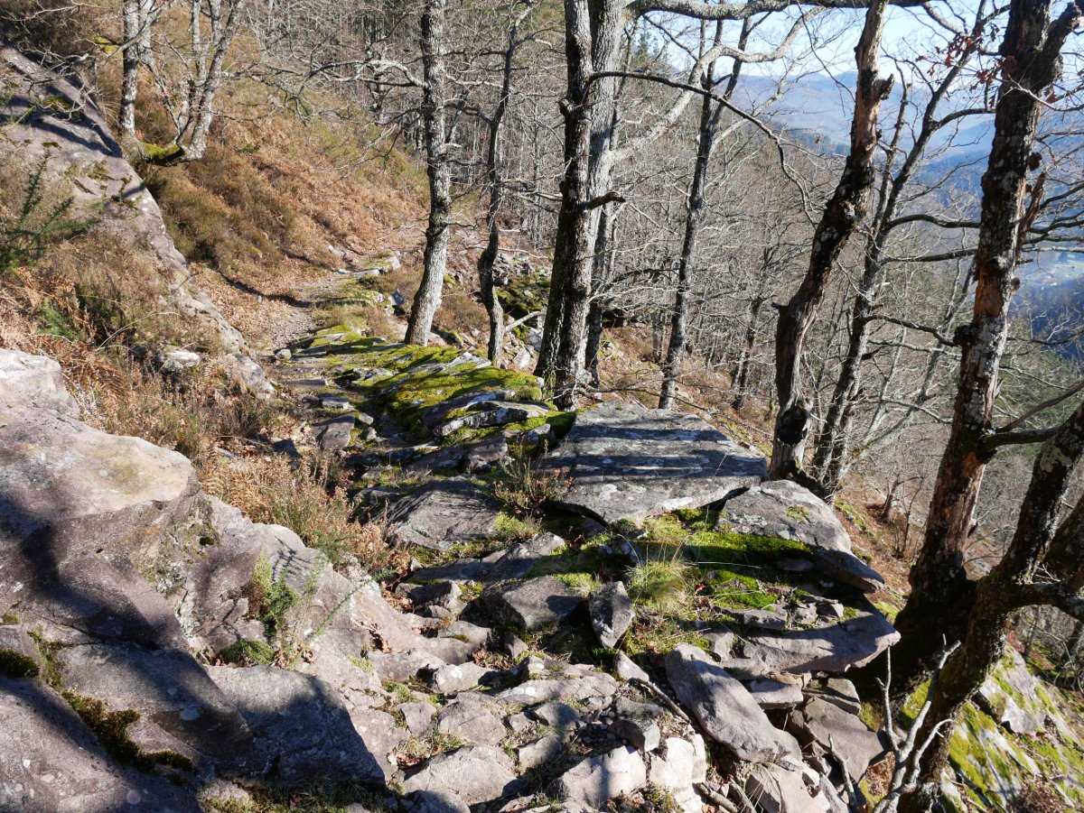 Iratzabalgo bidea