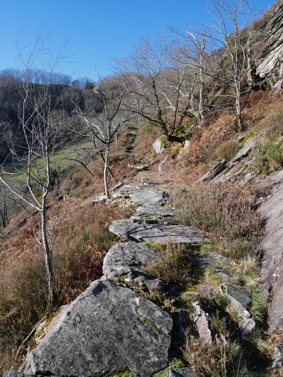 Iratzabalgo bidea