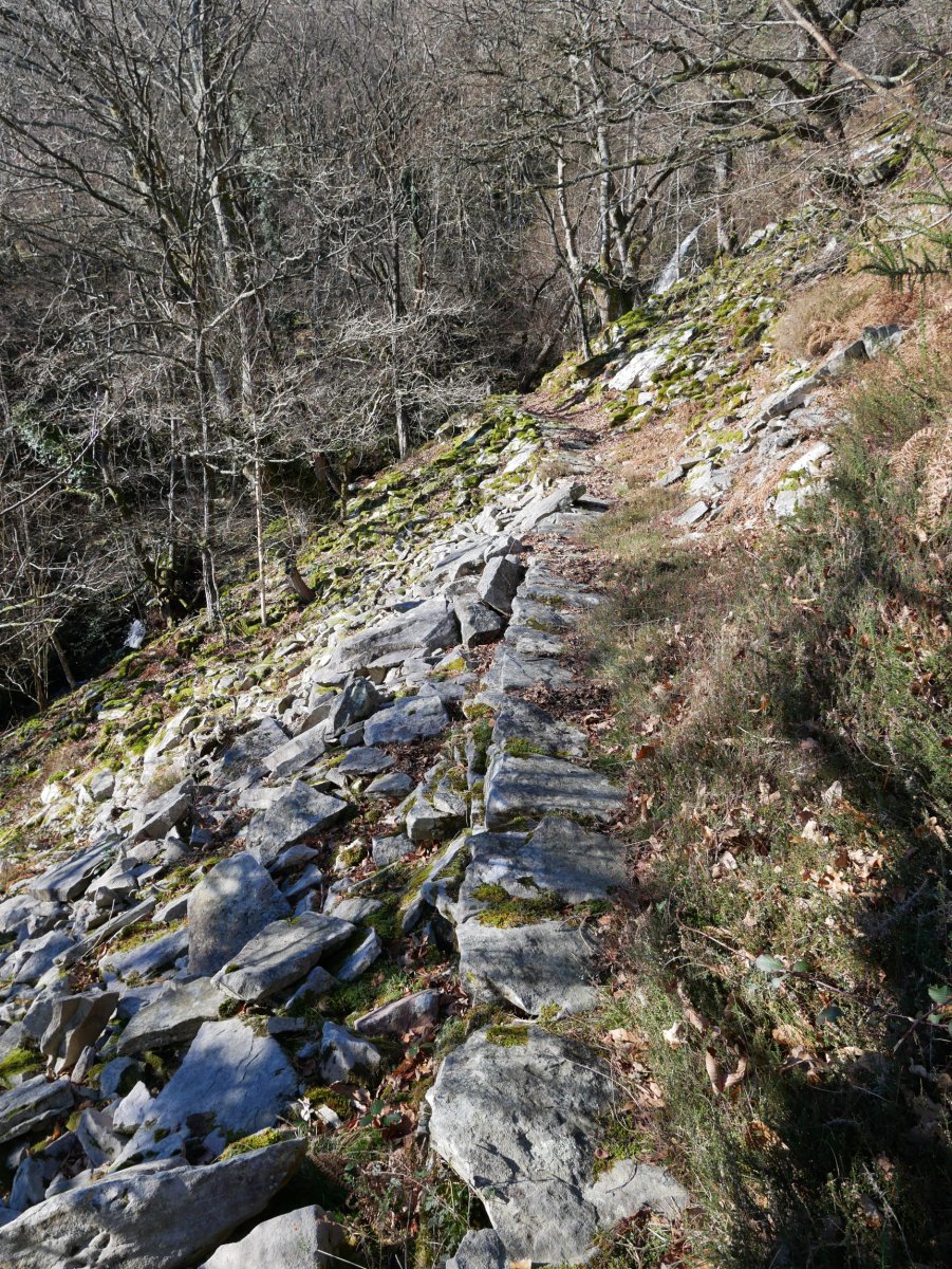 Iratzabalgo bidea