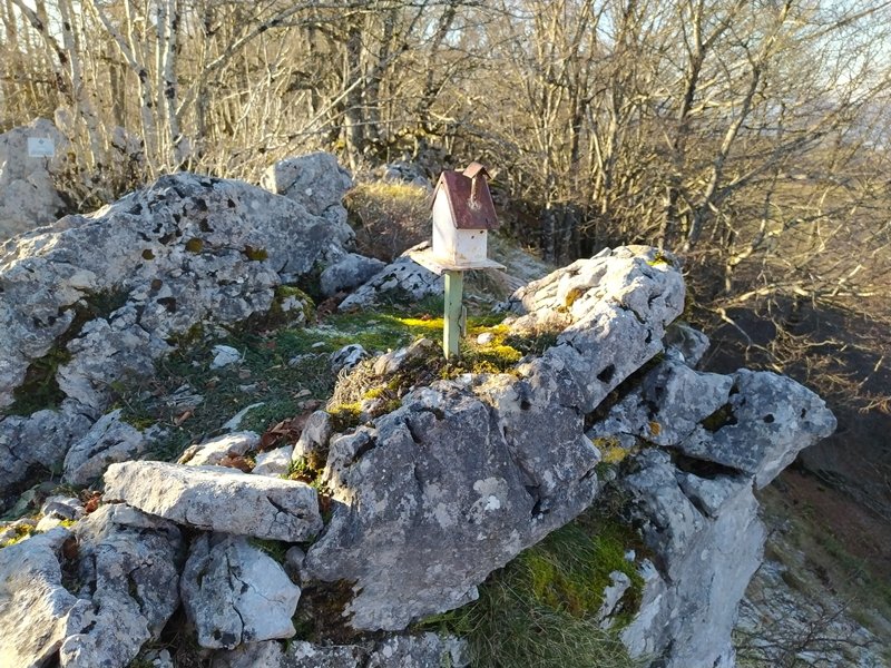 Tontorra