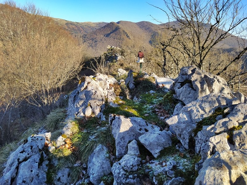Tontorra