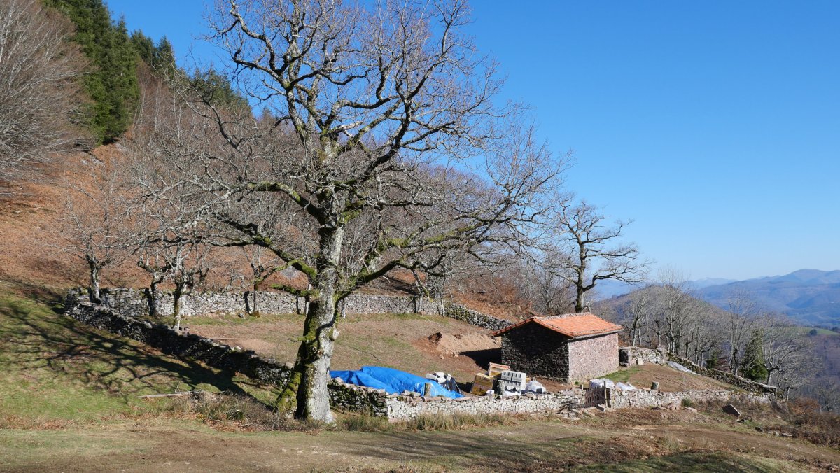 Otxoneko borda