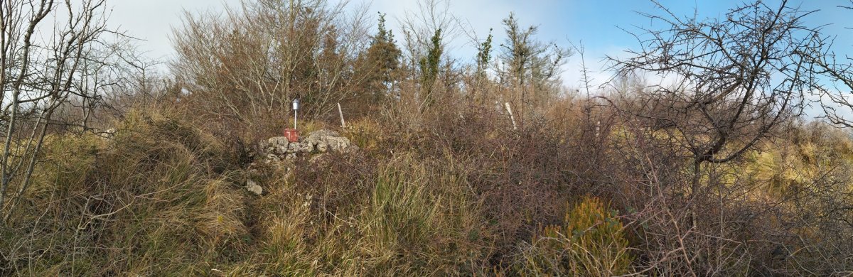 Tontorra
