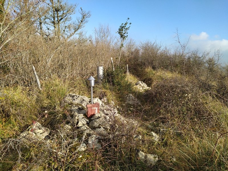 Tontorra