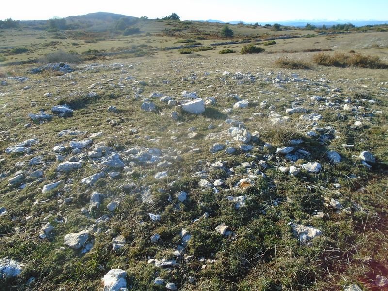la barrera tumulua