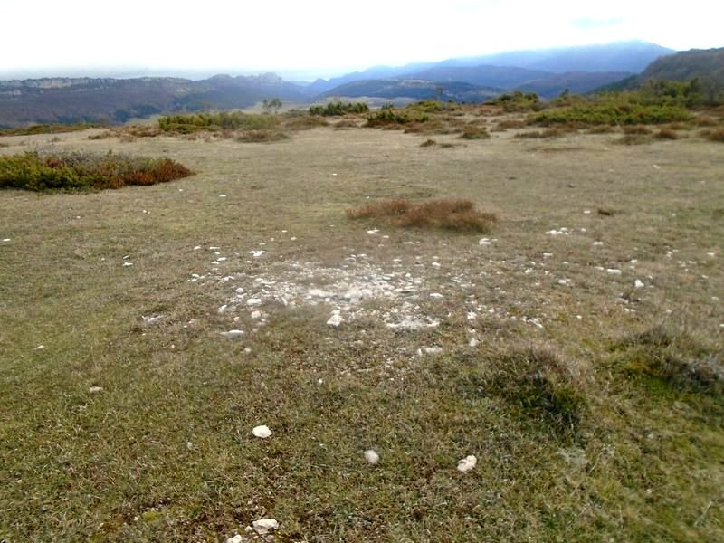la barrera 5