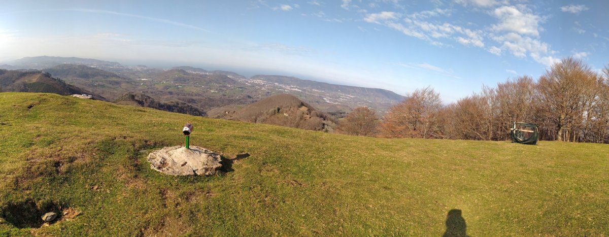 Tontorra