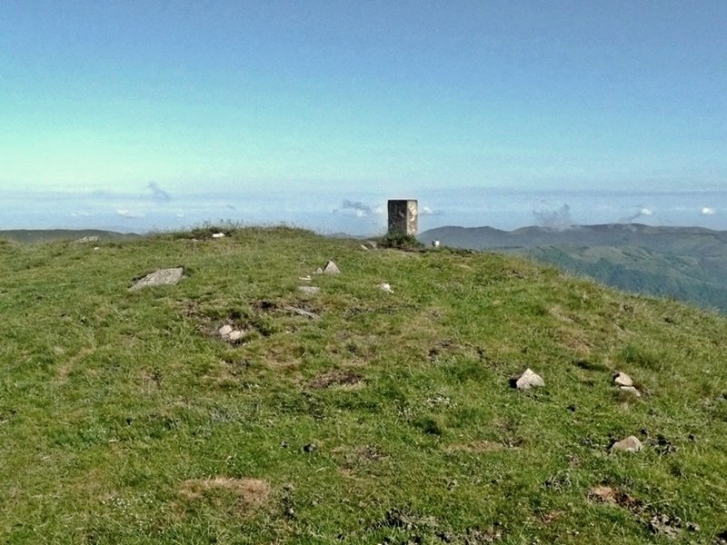 Tontorra