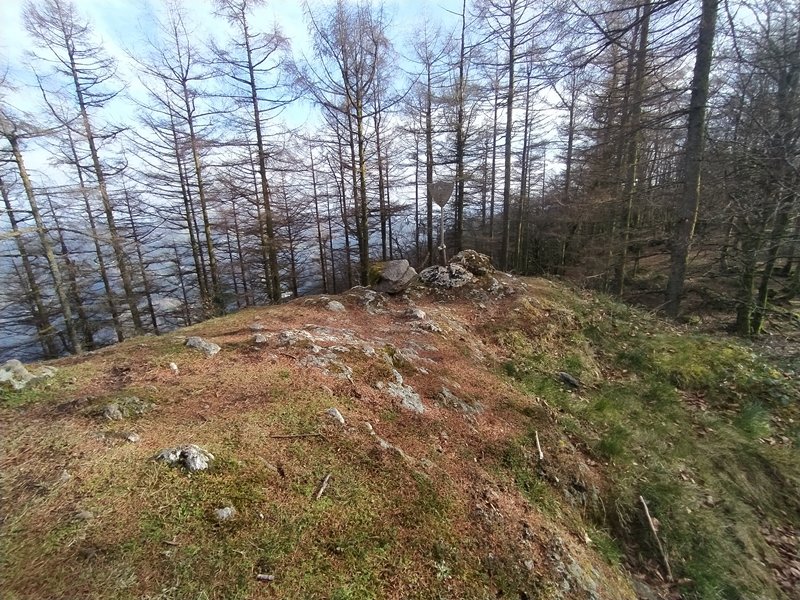 Tontorra