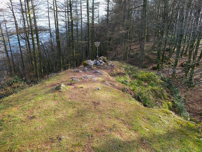 Tontorra