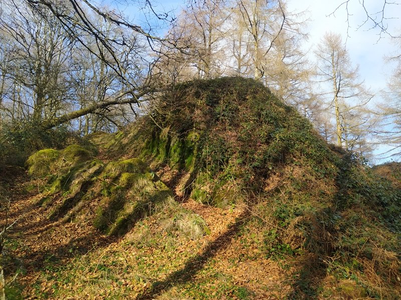 Tontorra