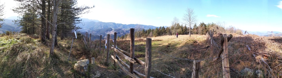 Tontorra