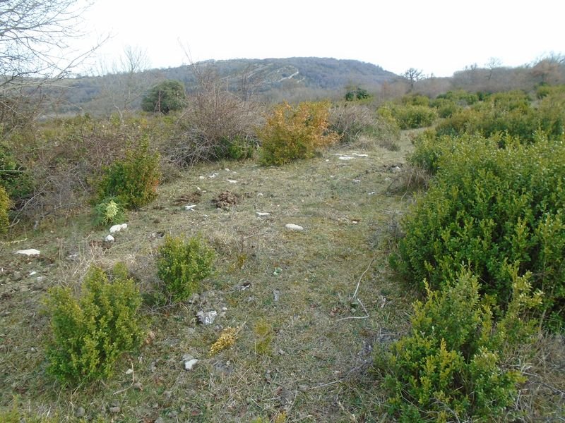 la magdalena 3