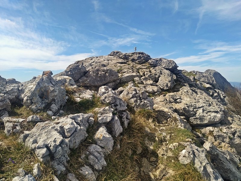 Tontorra
